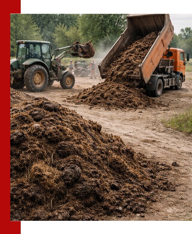 Доставка навоза самосвалами в Выборге для сельхозпотребностей